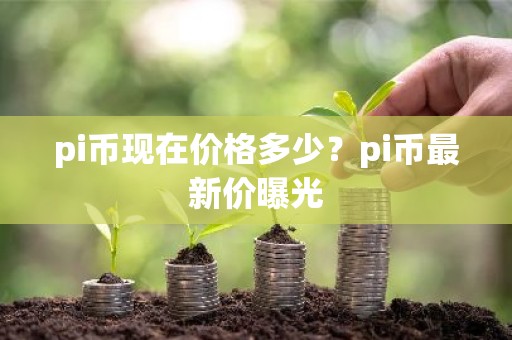 pi币现在价格多少？pi币最新价曝光