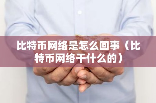 比特币网络是怎么回事（比特币网络干什么的）