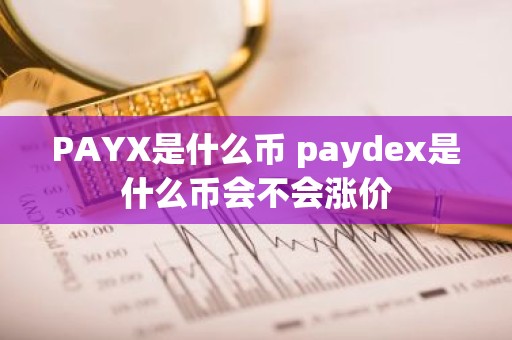 PAYX是什么币 paydex是什么币会不会涨价