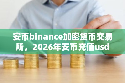 安币binance加密货币交易所，2026年安币充值usdt