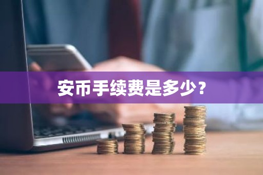 安币手续费是多少？