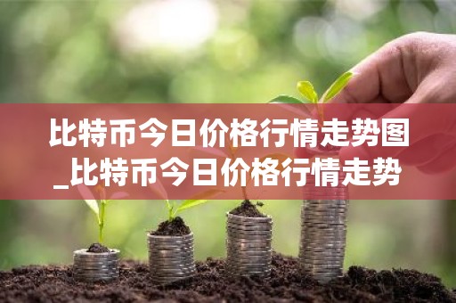 比特币今日价格行情走势图_比特币今日价格行情走势图表