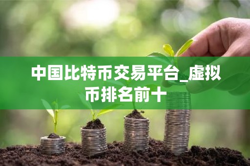 中国比特币交易平台_虚拟币排名前十