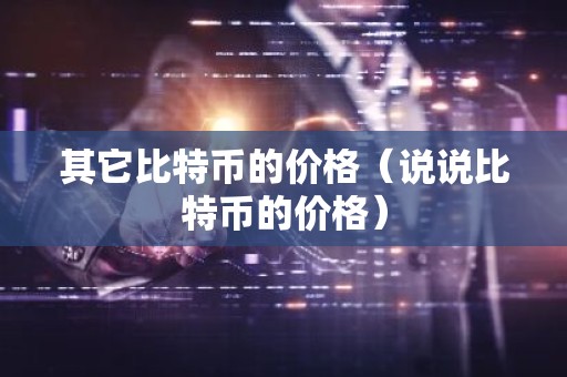 其它比特币的价格（说说比特币的价格）