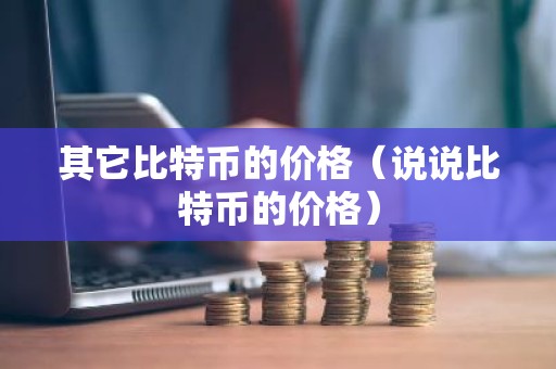 其它比特币的价格（说说比特币的价格）
