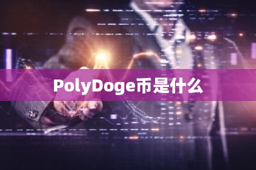 PolyDoge币是什么