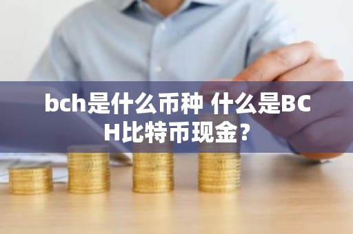 bch是什么币种 什么是BCH比特币现金？