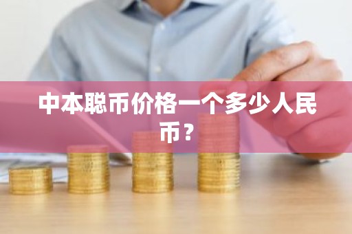 中本聪币价格一个多少人民币？