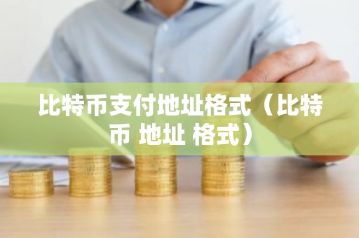 比特币支付地址格式（比特币 地址 格式）