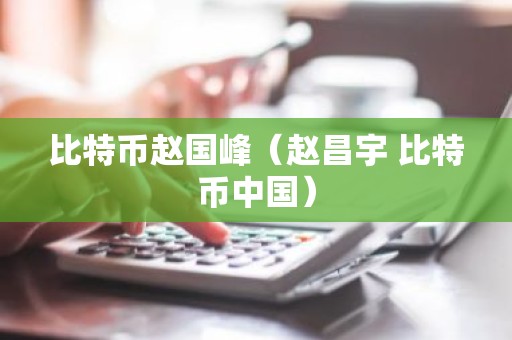 比特币赵国峰（赵昌宇 比特币中国）