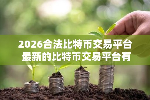 2026合法比特币交易平台 最新的比特币交易平台有哪些？
