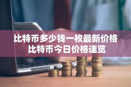 比特币多少钱一枚最新价格 比特币今日价格速览