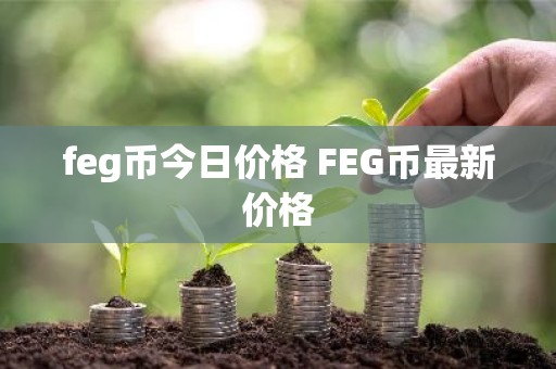 feg币今日价格 FEG币最新价格