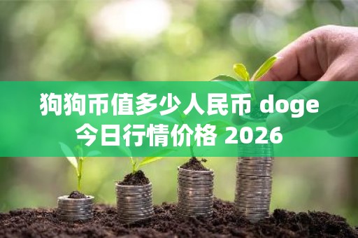 狗狗币值多少人民币 doge今日行情价格 2026