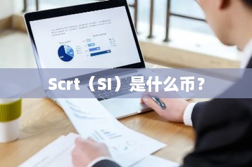 Scrt（SI）是什么币？