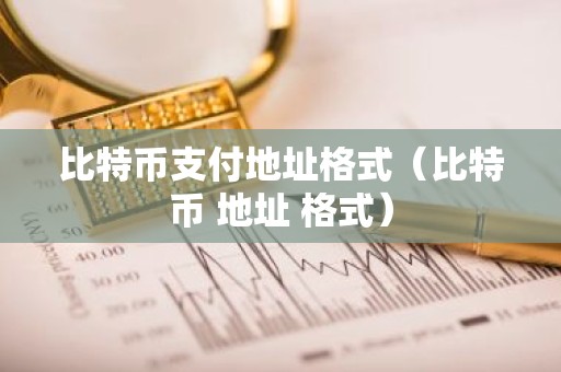 比特币支付地址格式（比特币 地址 格式）