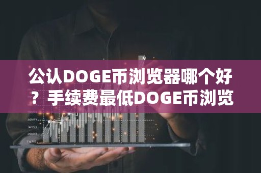 公认DOGE币浏览器哪个好？手续费最低DOGE币浏览器市场占有率排名
