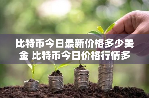 比特币今日最新价格多少美金 比特币今日价格行情多少美元
