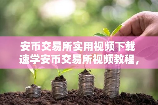 安币交易所实用视频下载 速学安币交易所视频教程，轻松下载使用