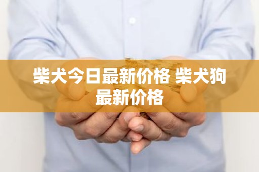 柴犬今日最新价格 柴犬狗最新价格