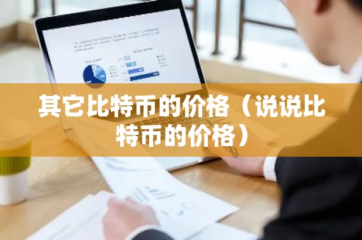 其它比特币的价格（说说比特币的价格）