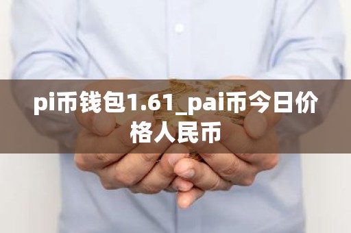 pi币钱包1.61_pai币今日价格人民币