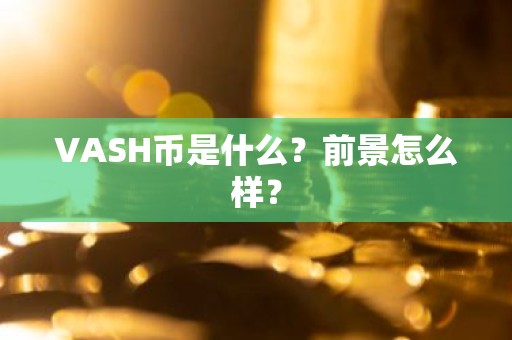 VASH币是什么？前景怎么样？
