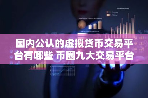 国内公认的虚拟货币交易平台有哪些 币圈九大交易平台
