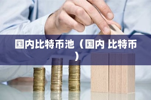 国内比特币池（国内 比特币）