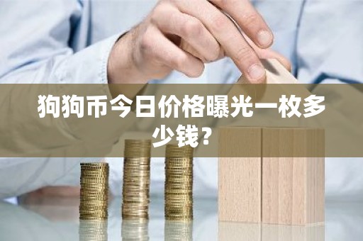 狗狗币今日价格曝光一枚多少钱？