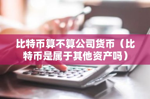比特币算不算公司货币（比特币是属于其他资产吗）