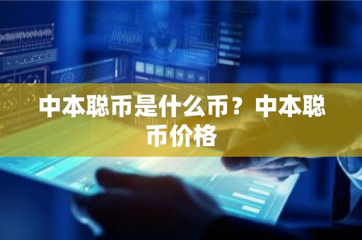 中本聪币是什么币？中本聪币价格