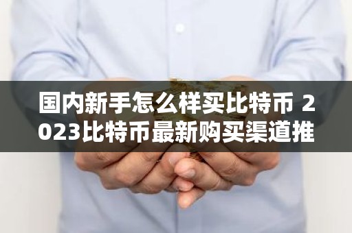 国内新手怎么样买比特币 2023比特币最新购买渠道推荐