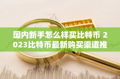 国内新手怎么样买比特币 2023比特币最新购买渠道推荐