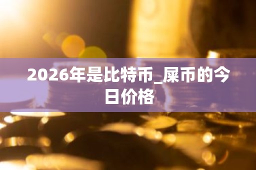 2026年是比特币_屎币的今日价格