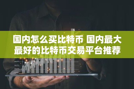国内怎么买比特币 国内最大最好的比特币交易平台推荐