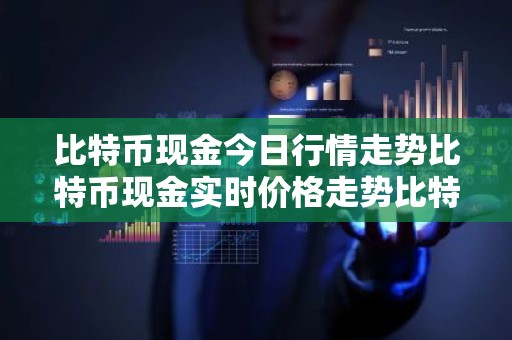 比特币现金今日行情走势比特币现金实时价格走势比特币现金最新价格
