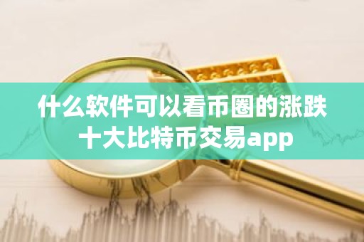 什么软件可以看币圈的涨跌 十大比特币交易app