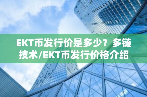EKT币发行价是多少？多链技术/EKT币发行价格介绍