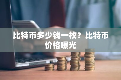 比特币多少钱一枚？比特币价格曝光