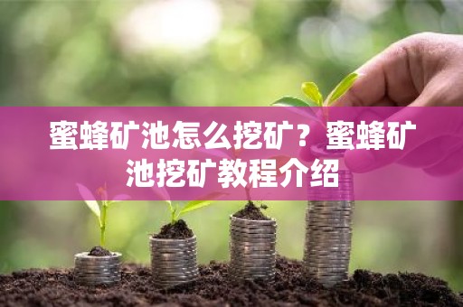 蜜蜂矿池怎么挖矿？蜜蜂矿池挖矿教程介绍