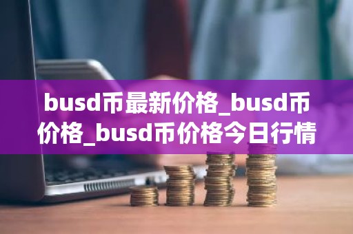 busd币最新价格_busd币价格_busd币价格今日行情