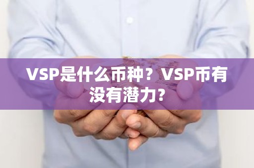 VSP是什么币种？VSP币有没有潜力？