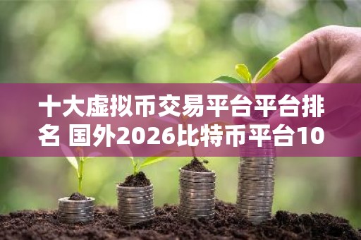 十大虚拟币交易平台平台排名 国外2026比特币平台10大交易所排行