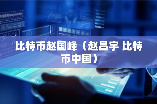 比特币赵国峰（赵昌宇 比特币中国）
