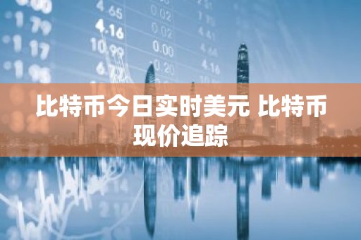 比特币今日实时美元 比特币现价追踪