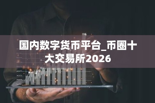 国内数字货币平台_币圈十大交易所2026