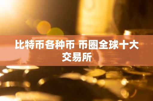 比特币各种币 币圈全球十大交易所