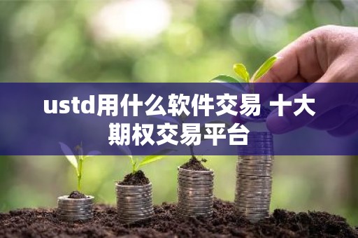 ustd用什么软件交易 十大期权交易平台