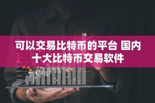可以交易比特币的平台 国内十大比特币交易软件